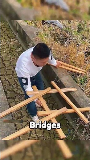 Ancient Interlocking Wood Bridge Explained #TraditionalArchitecture #Shorts