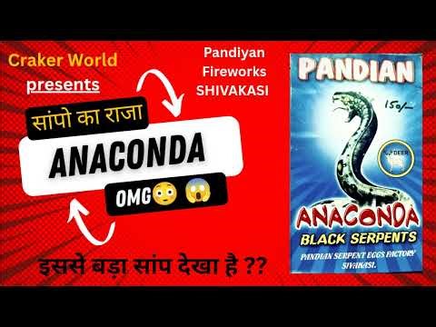 😱 Snake सबसे बड़ा सांप शिवकाशी का पटाखा Black sarpent ‪@crackerworldindia‬ #Anaconda#diwali2025
