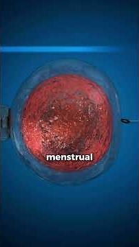 Ovarian Cysts: When to Worry About a Cyst? #gynecologist