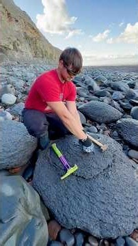 A HUGE shale landslide had exposed an incredible collection of Jurassic fossil-bearing rocks!