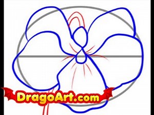 How to draw a violet, step by step