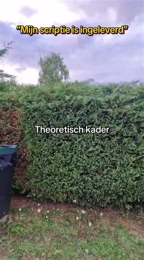 Als je scriptie eindelijk is ingeleverd #scriptie #scriptiestress #studietips