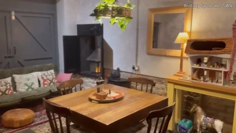 Miniature pony Basil offers a warm welcome to visitors of this unique retreat