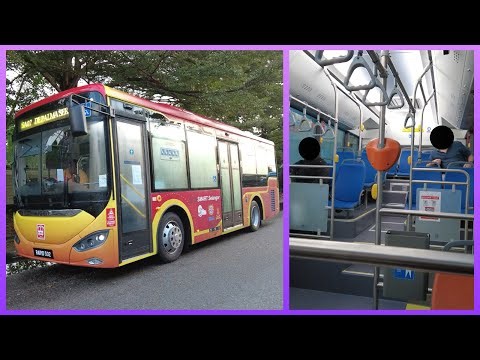 NEW! rapidKL x Smart Selangor MBSA Higer Midibus (RAPID523) Exterior & Interior