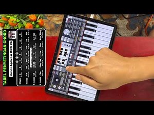 CARA SETTING CHORD DI ORG 24 YANG BENAR UNTUK PEMULA