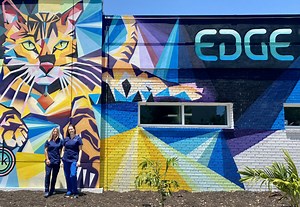 About Us | EDGE Animal Hospital | St. Petersburg, Florida