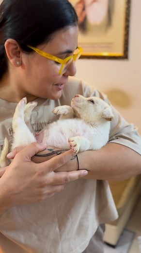 From Maggots to Miracles 💔➡️💖 | thanks to every one for blessings and support . When I first found this little soul, he was all alone — motherless, weak, covered in wounds, and maggots had eaten parts of his tiny body 💔🐶 His cries were faint, but his spirit was strong. With every drop of milk and every gentle touch, he started fighting back — step by step, day by day. Today, he’s healthy, playful, and full of life 🌸✨ This transformation is not just healing — it’s hope in its purest form. 🙏