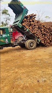 Unloading Logs: How Efficient Delivery Fuels the Timber Industry