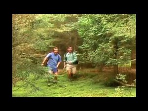 Zoboomafoo Season 1 Opening