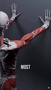 This is one of the most common, yet unaddressed issues with people who have wrist and even elbow issues. Here’s the fix 💪🏼 | Conor Harris