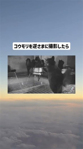 #twitter #おもしろ #ネタ