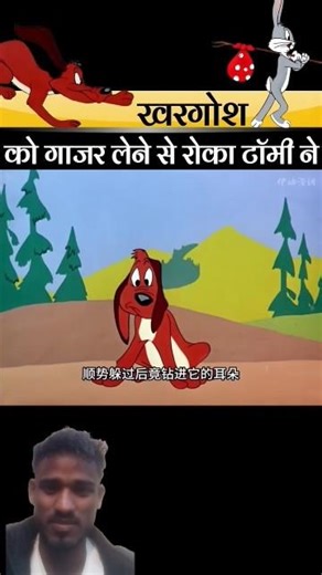खरगोश को गाजर लेने से रोका टॉमी 😂😂 #funny #shorts