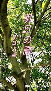 ♪︎明日の詩＃ 杉良太郎#ショート #昭和歌謡