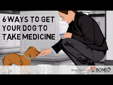 How to Get a Dog to Take a Pill or Tablet