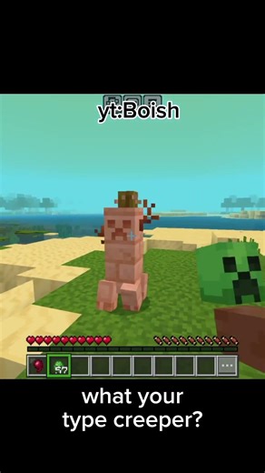 What's your type? #minecraft #cutecat #cat #song #shortvideo #shorts #shorrt