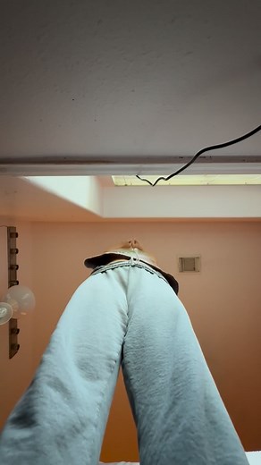 Just be aware: they poop EVERYWHERE…..even on you 🤣🤣🤣🤣 #chickentender #chicks #realestatechick | Michelle Lockler Carlson