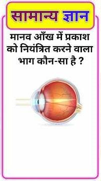 Top 20 Gk Questions🤔💥||GK Question ✍️|GK Question and Answer #gk #bkgkstudy #gkfacts #gkinhindi