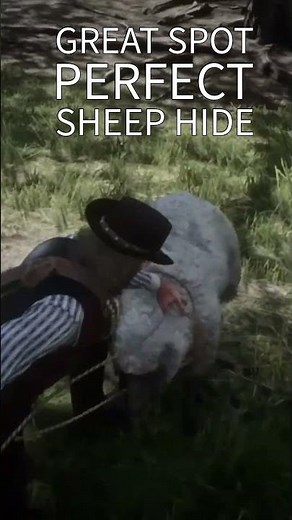 Spot for Perfect Sheep Hide #rdr2 #reddeadredemption #hunter #gaming #clothing #trapper