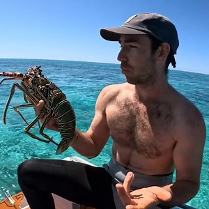56K views · 1.3K reactions | "I just think people can't cook!"- Jack Gallagher; to all of those who think tropical rock lobsters don't taste good hahah | Back 2 Basics Adventures | Facebook