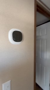 9K views · 80 reactions | The MOST affordable home on our lot! $69,900 including dirt pad, set up and delivery, a/c and heat, skirting, steps, and kitchen appliances. The Delight by Tru Homes! 14x60 2 bedroom 2 bathroom. Simple yet modern! Open floor plan with a large kitchen and living area. Call today! 251-653-6505 #buylocal #familyowned | Suburban Mobile Home Sales | Facebook