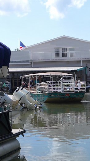 Fins up! Explore Florida’s waters with Fun Boat Tours and see dolphins in their natural playground. Reserve your spot now: https://funboattours.com/ 🐬✨ #dolphins #dolphinswatching #exploreflorida #boattours | Fun Boat Tours