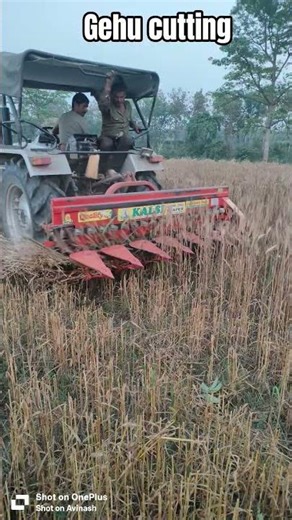 #gehu#cuttingskills#raper#machine#bhojpuri#song#