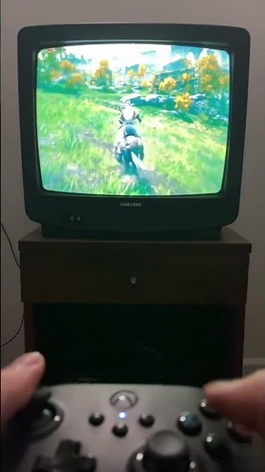 Elden Ring Part 31 #eldenring #darksouls #gaming #crtgaming #retro #pcgaming #rtx4090 #4kgaming #wal