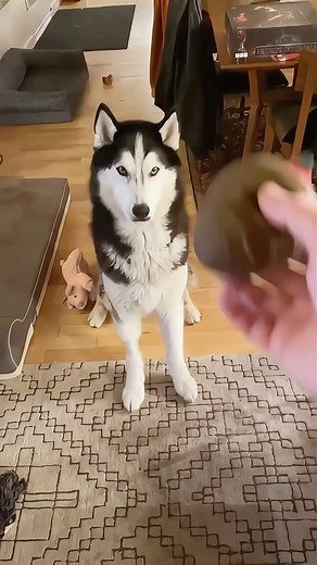 167K views · 1.6K reactions | I filmed this about four hours before...