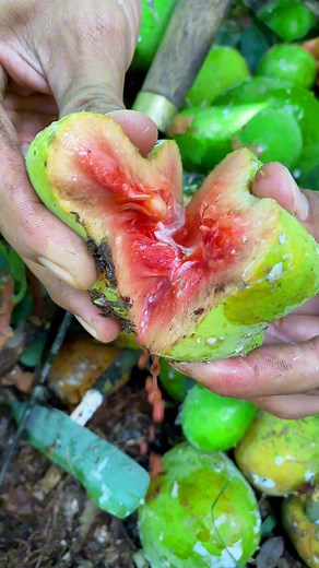 Cubbing😱 #fyp #reelsfb | Renatus Ledewata