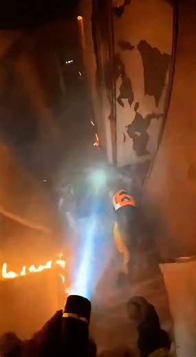 A Firefighter Rescue A Cat But His Beloved Dog Doesn't Survive!