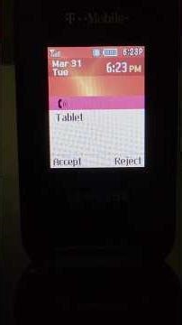 Samsung SGH-T159 incoming call (With ID)