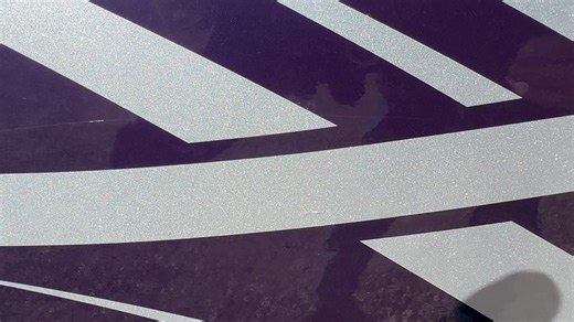 The Polaris Purple Thunder build is coming along | RZRForums.net