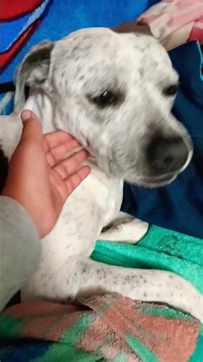 I felt like making it