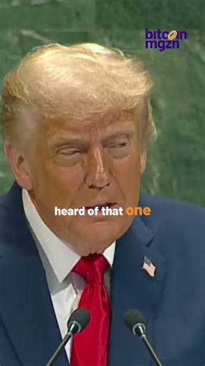 Are NATO countries in a good position? Trump speaks out: