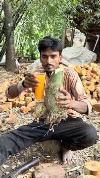 DIY Eco Glass from Bamboo Roots #handmade #craft #viral #shorts #juiceglass #friendly￼