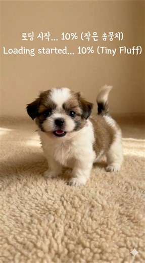 Shih Tzu Transformation: 1 Month to 15 Years (시츄 15년 성장과정)