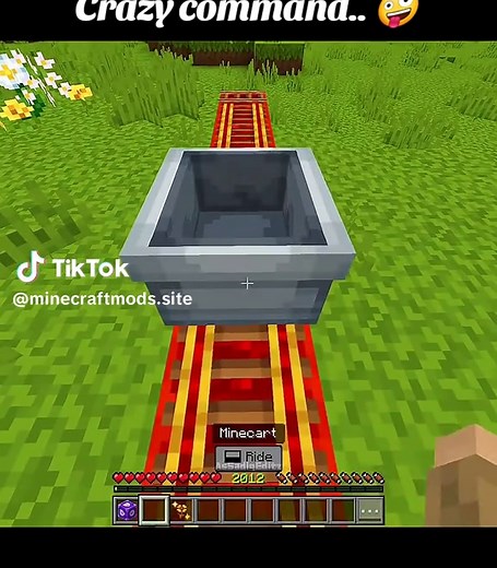 Crazy command in Minecraft Bedrock: how to use the command