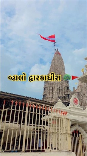 રૂડી એવી દ્વારકાધામના દર્શન 🦚🚩જય દ્વારકાધીશ 🙏 #dwarka #dwarkadhish #dwarkadhishtemple #travel