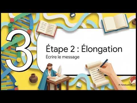 Transcription de l’ADN expliquée simplement 🧬 | De l’ADN à l’ARN en quelques minutes ! #biologie