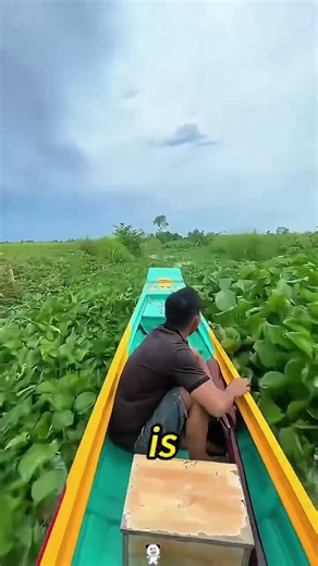 The Fastest Delivery Service You’ve Never Seen