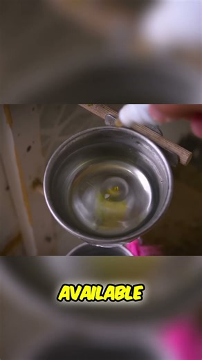 The Science of Bird Feathers and Why They're So Cool