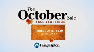 12K views · 22 reactions | The October Sale at Fasig-Tipton features...