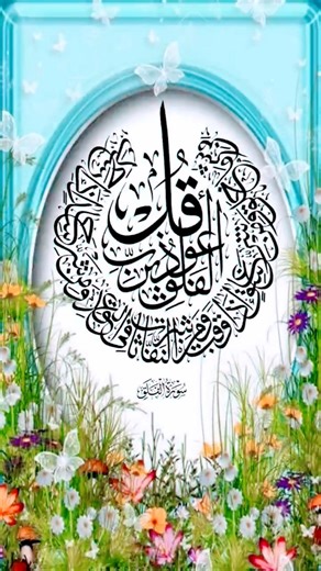 AL-FALAQ (Falaq) ❤️😇 Egzon Ibrahimi #surah_falaq #egzonibrahimi#viralvideo #quran #surah #Surat
