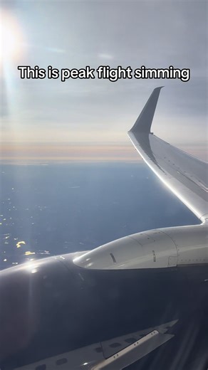 Peak Flight Simming: Expert Assistance in Aviation