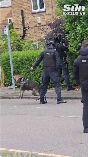 Police storm home in search for ‘crossbow killer’ Kyle Clifford as suspect’s car is found
