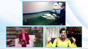 This woman walked a mile, took two cars, and rode the subway to rescue a swan. You’ve gotta watch this. | Ellen DeGeneres
