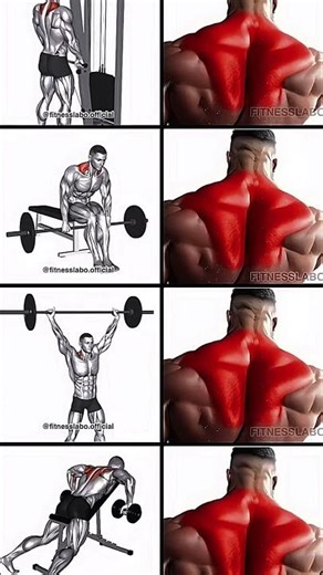 Exercises to develop the trapezius ✅️