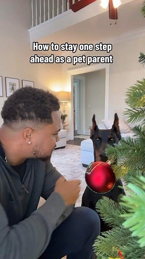 One step ahead!🎄 @Petivity makes it SO easy to keep tabs on your pet’s health and up to 40% off #ad