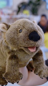 4K views | Your child is never too young to start learning and have the best time doing so. Secure your child's place today. | Goodstart Early Learning | Facebook