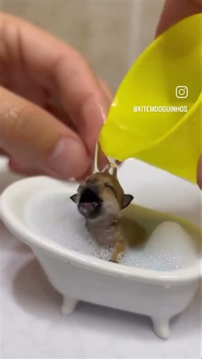 so cute bathing